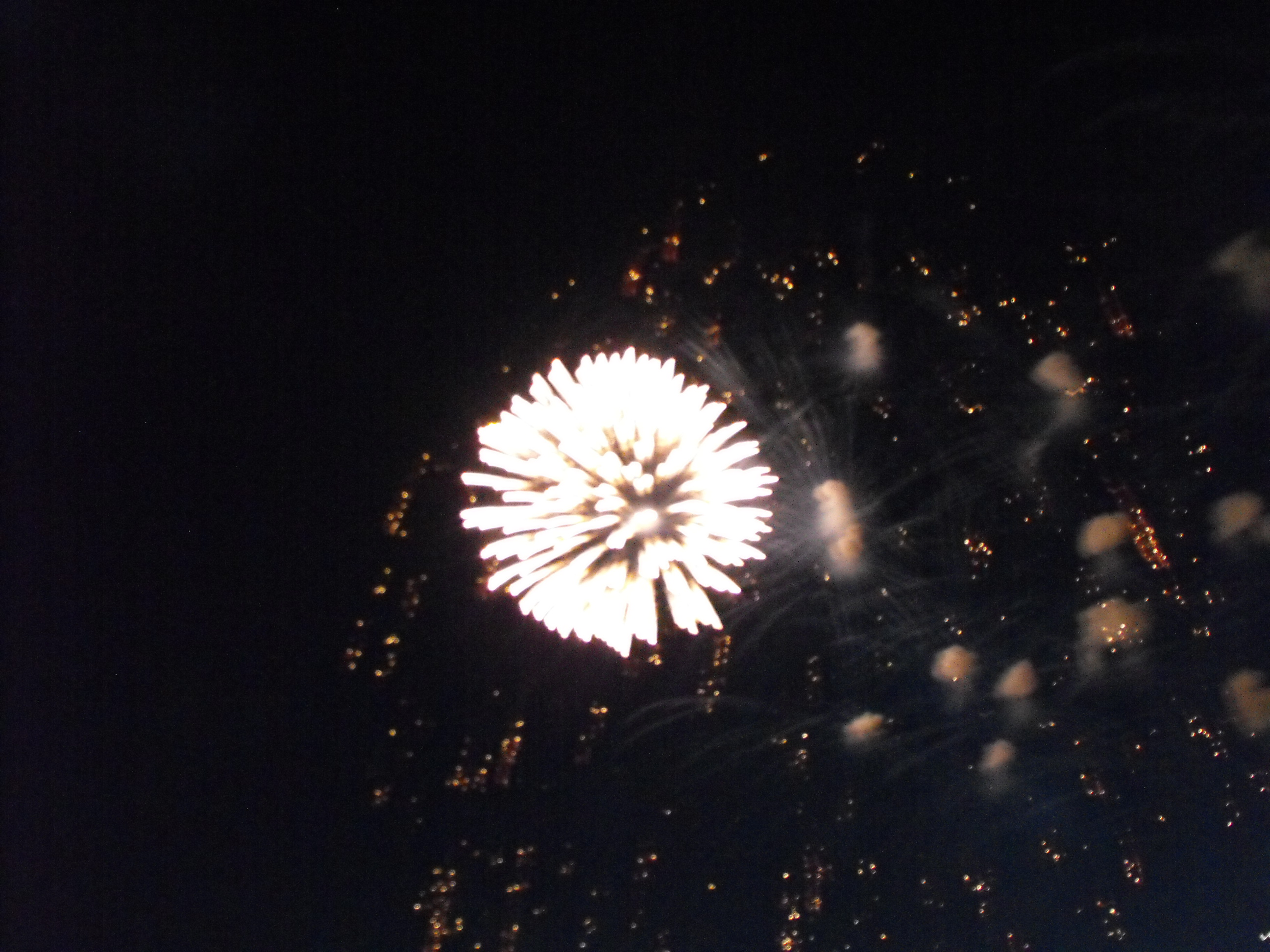 ./2010/Fourth of July/4th July Fireworks Wilm 0032.JPG